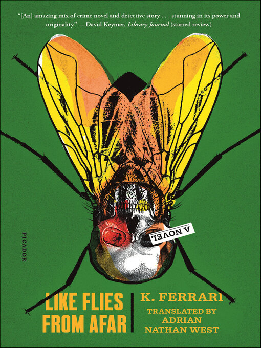 Cover image for Like Flies from Afar